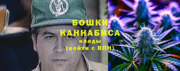 первитин Богданович